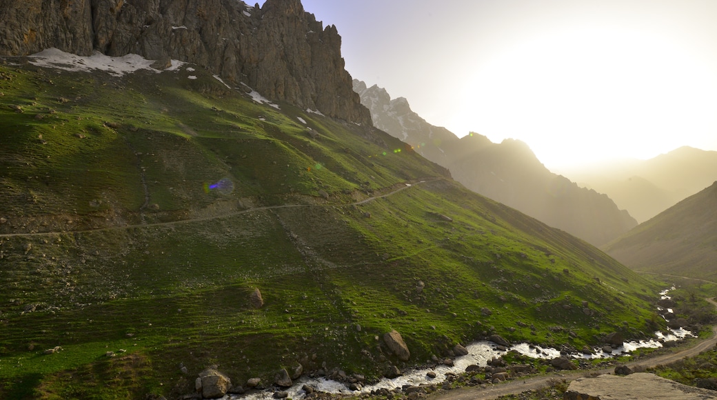 Hakkari