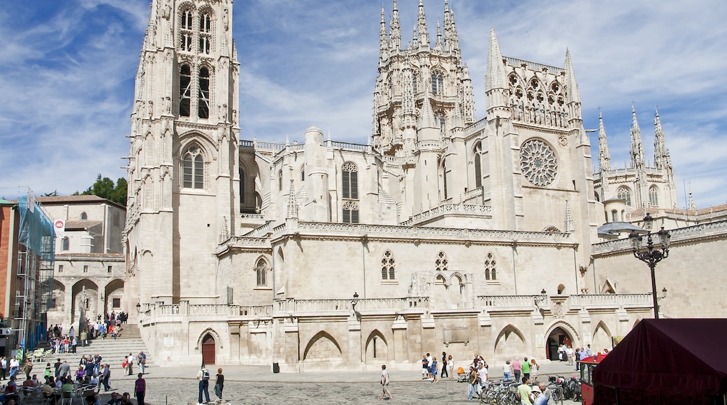 Burgosin katedraali