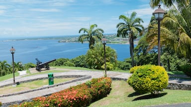 round trip tickets to trinidad and tobago