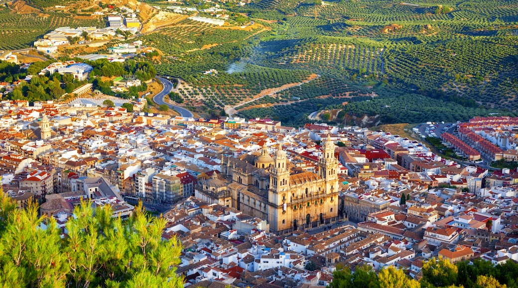 Jaen, Andalusia, Spagna