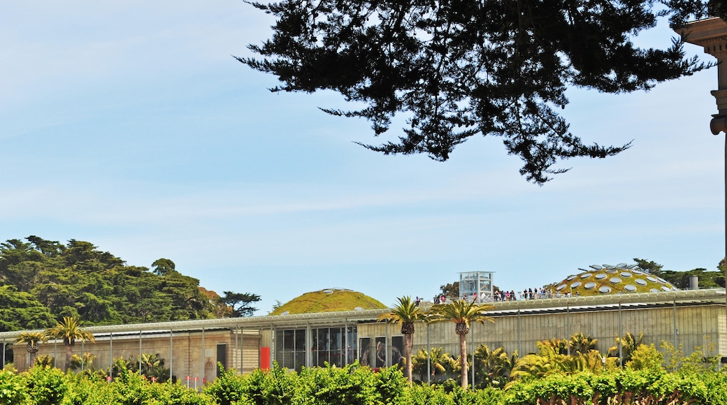 California Academy of Sciences, San Francisco, Kalifornien, USA