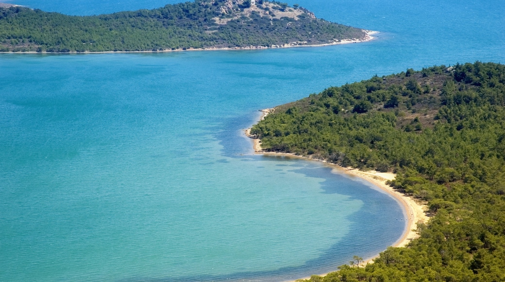 Centro di città di Ayvalik