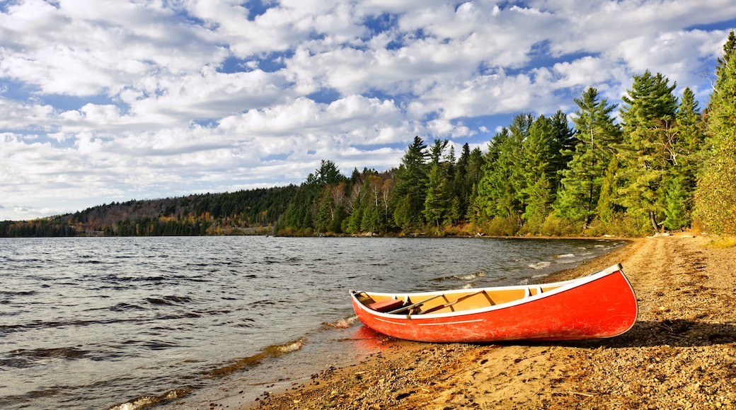 Sandy Lake