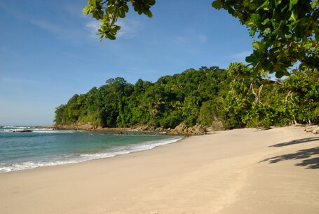 Manuel Antonio