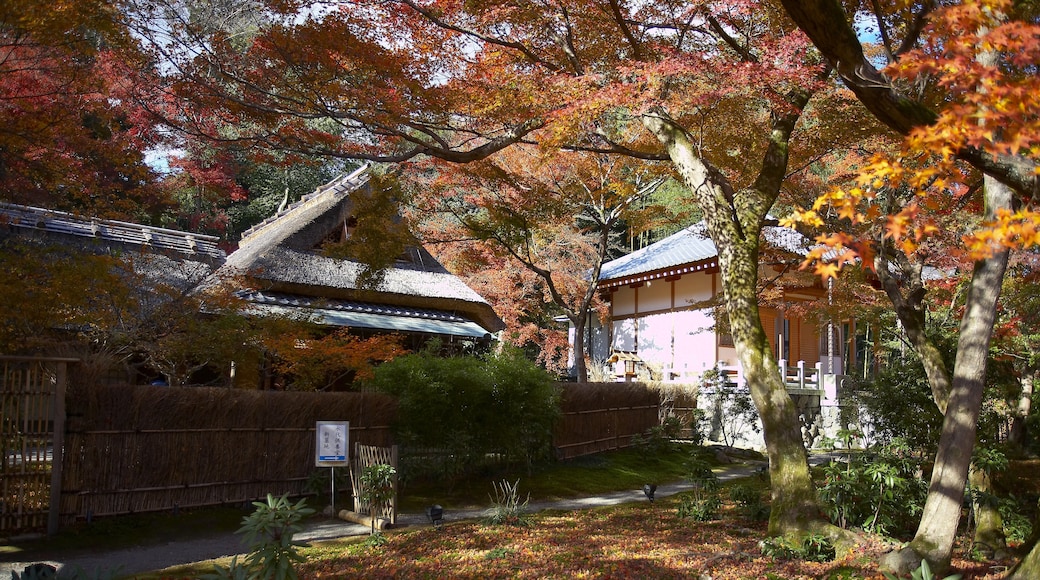 Terme Arashiyama Onsen