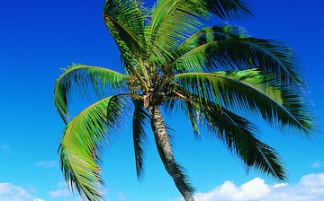 Kamaole Beach Park, Kihei, Hawaii, United States of America