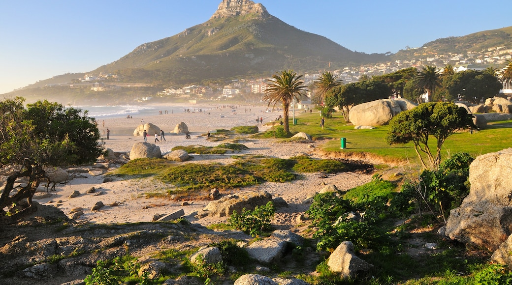 Lions Head, Città del Capo, Western Cape (provincia), Sudafrica