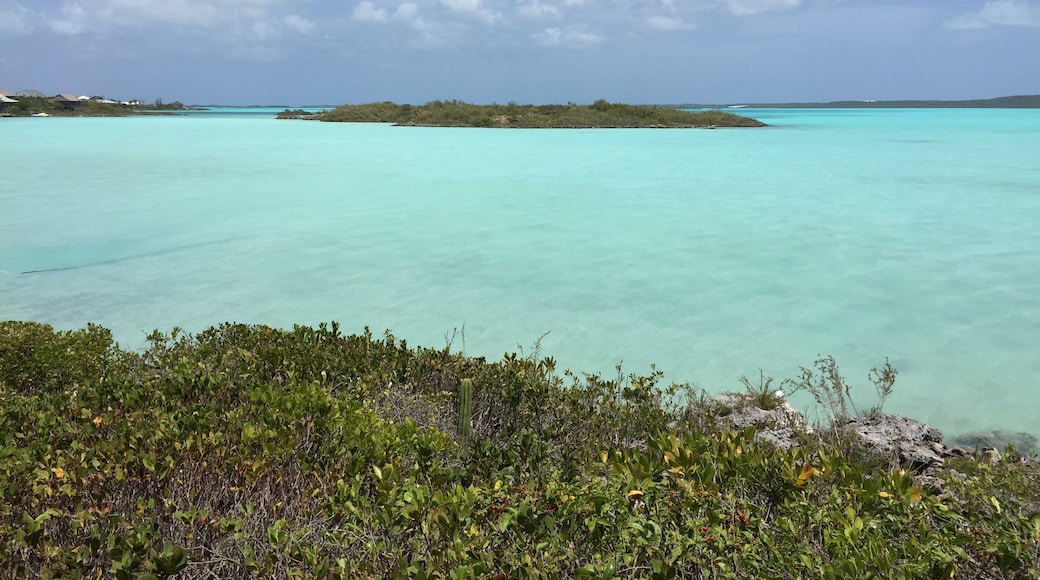 Blue Hills, Providenciales, Providenciales, Turks and Caicos