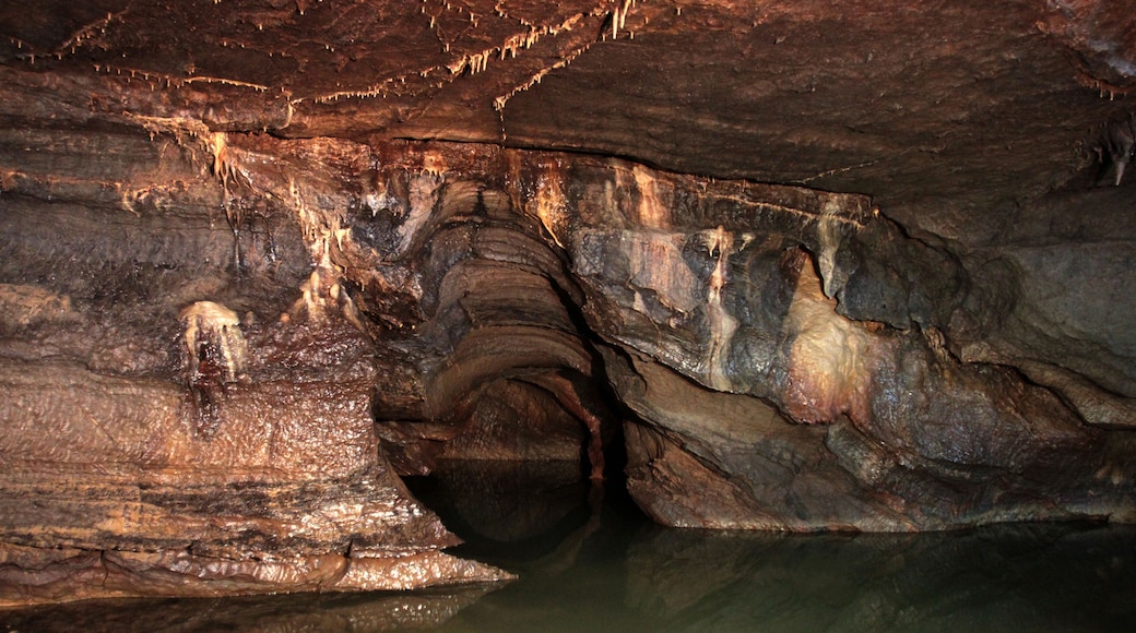 Cueva Gökgöl