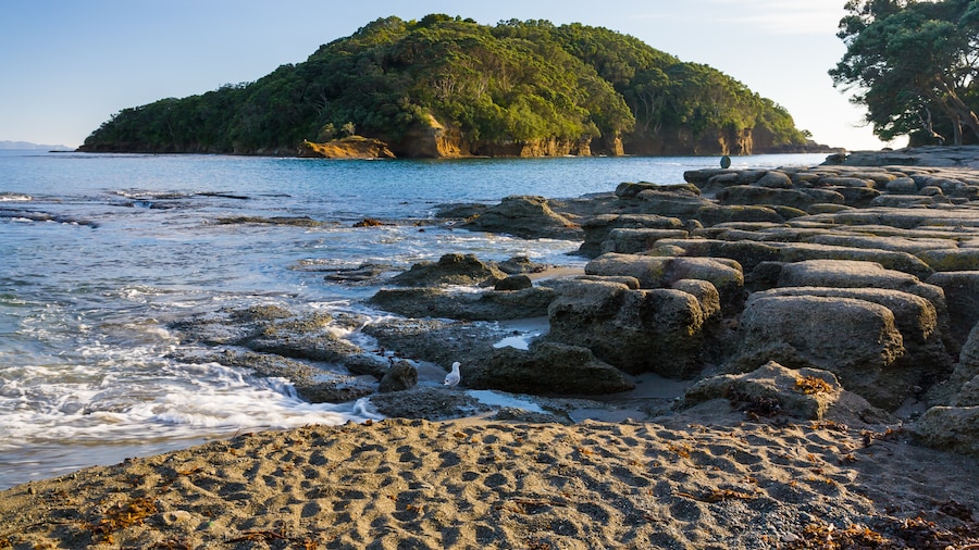 Goat Island