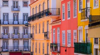 Bairro Alto, Lisbon, Distrik Lisboa, Portugal