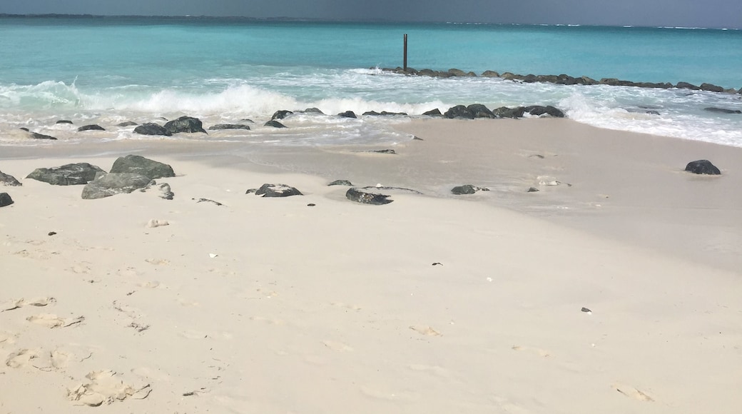Spiaggia di Pelican