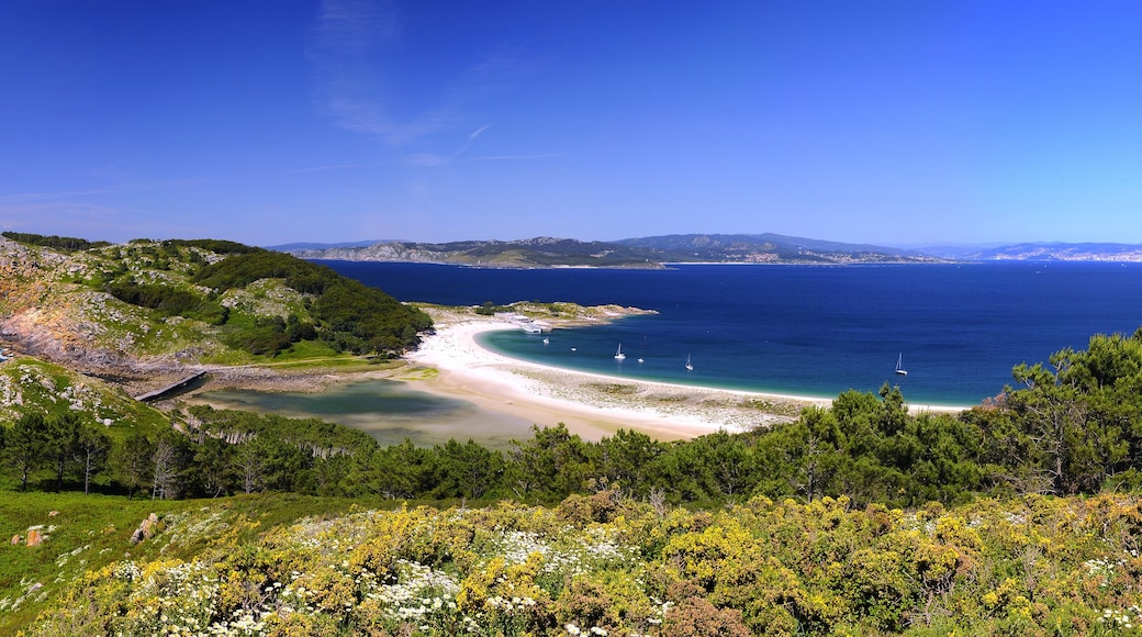 Cies Islands, Vigo, Galicia, Spain