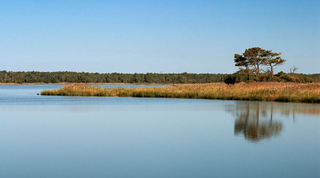 Gordons Pond, North Shores, Delaware, United States of America