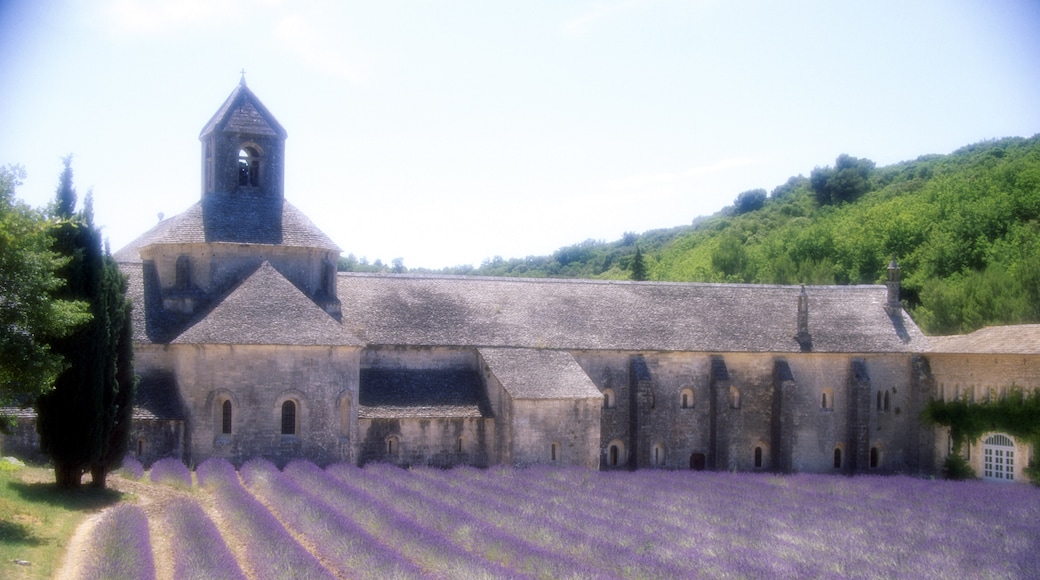 Abbaye Notre-Dame de Sénanque, Gordes, Vaucluse (département), France
