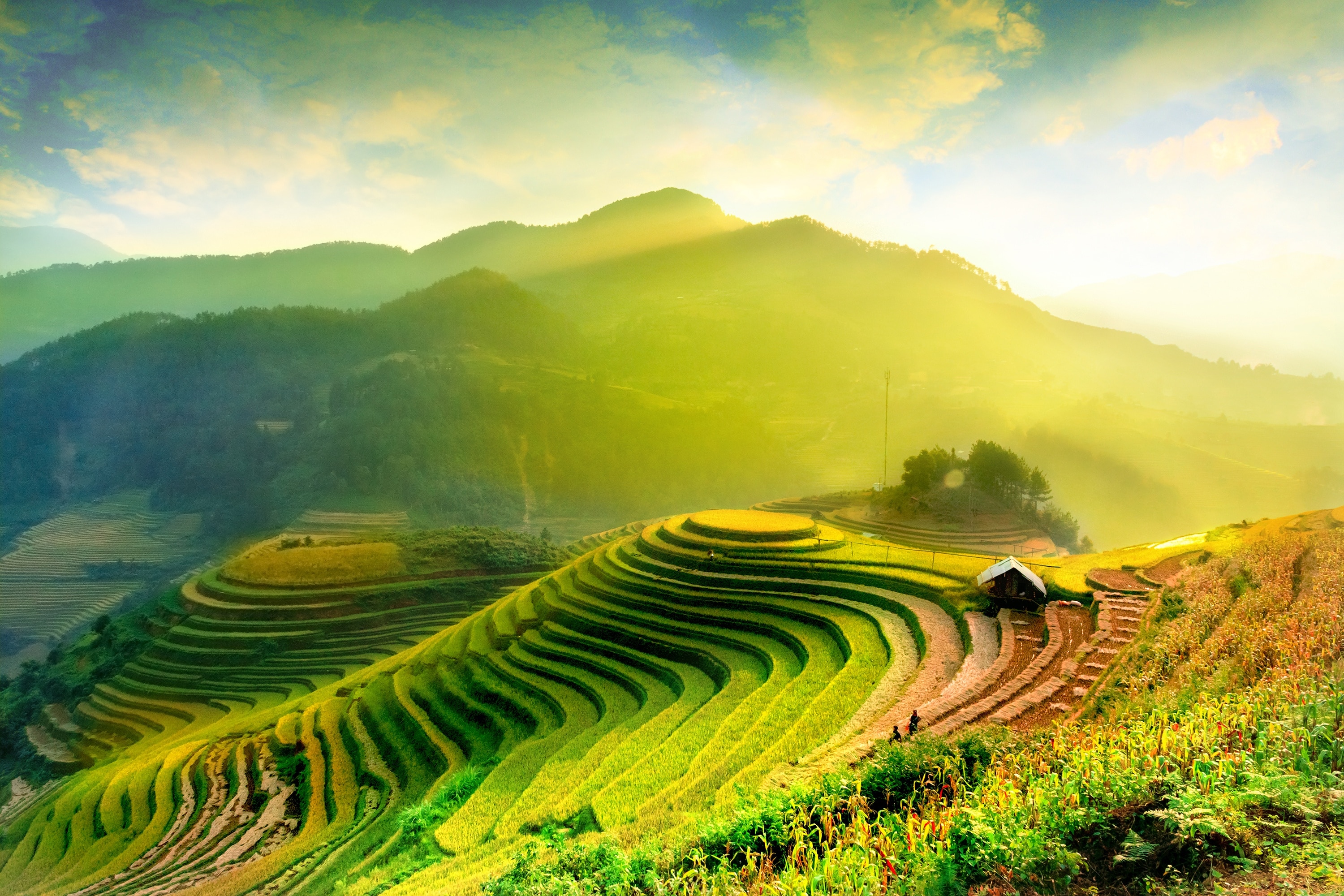 Mu Cang Chai