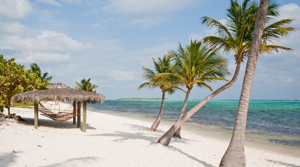 Little Cayman Beaches