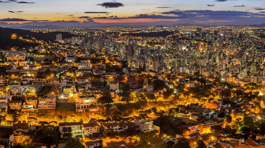 Minas Gerais State University