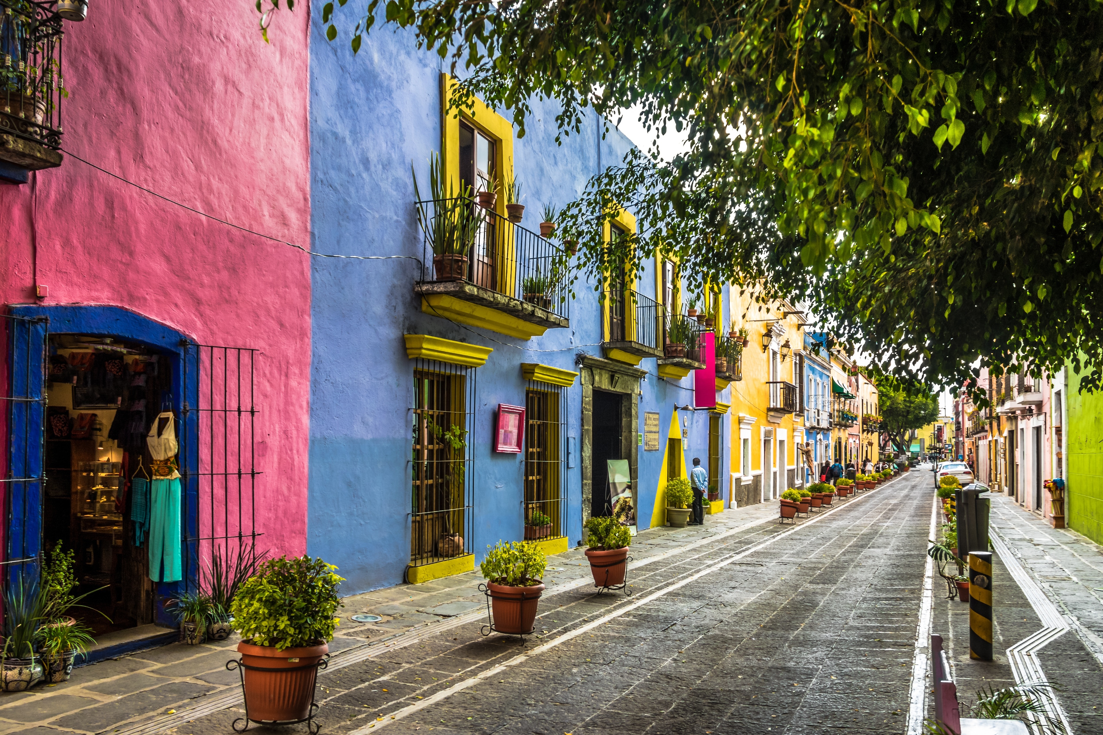 Delicias De La Comida Mexicana En Puebla