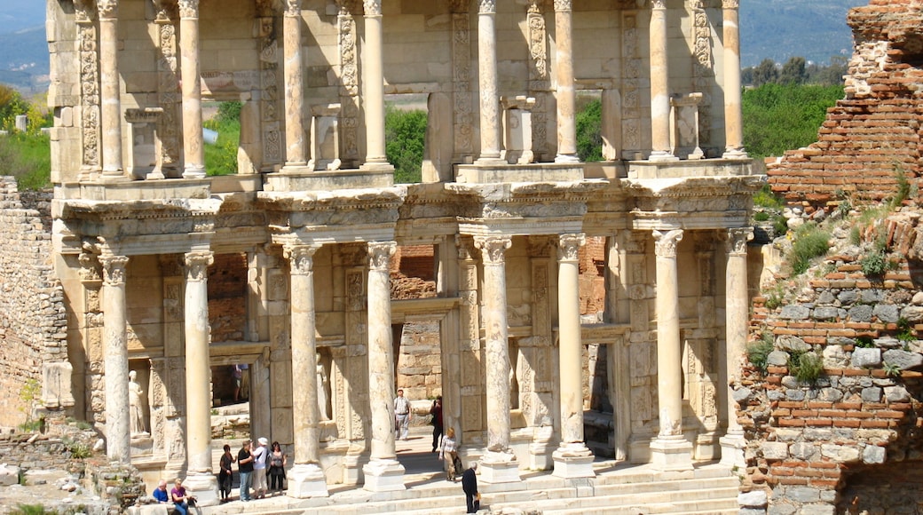 Celsus bibliotek