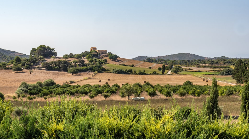 Sant Llorenc des Cardassar