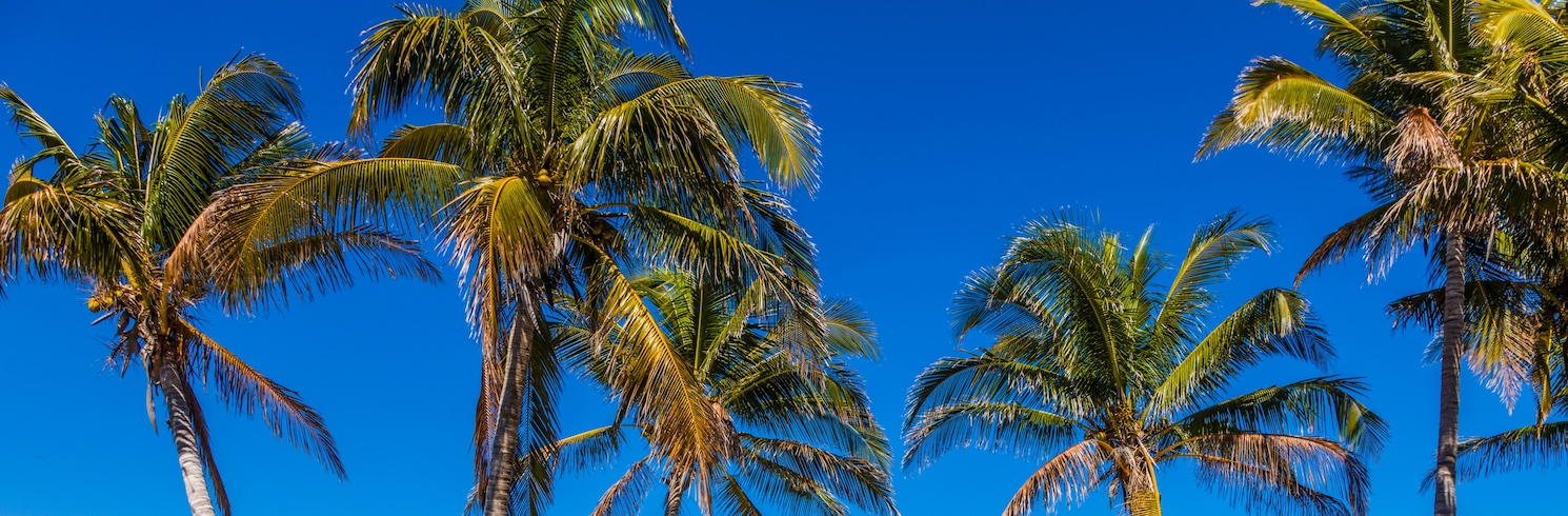 Fort Myers (and vicinity), Florida, United States of America