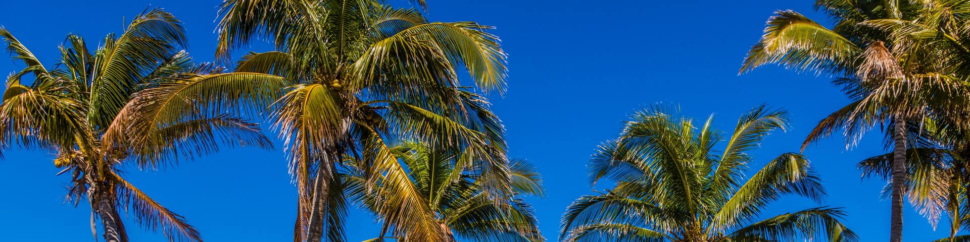 Bokeelia, Florida, United States of America