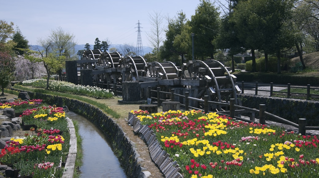 Tulpenpark van Tonami