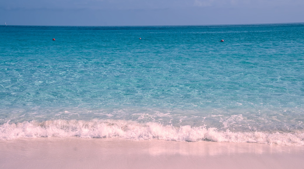 Παραλία Pink Sand Beach, Ντάνμορ Τάουν, Νησί Harbor Island, Μπαχάμες