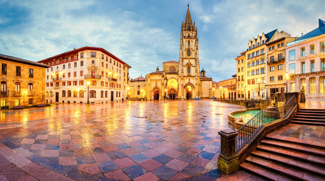 Kathedraal van Oviedo, Oviedo, Asturias, Spanje