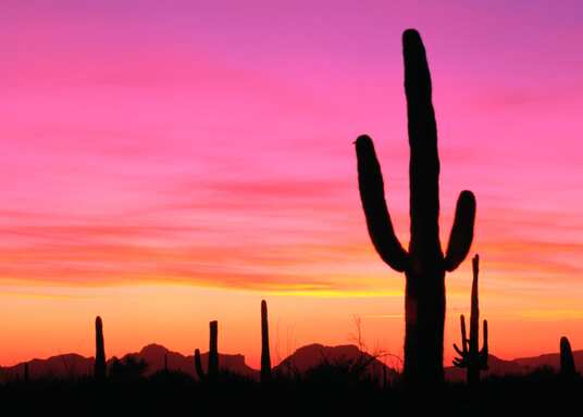 Ajo, Arizona, Estados Unidos