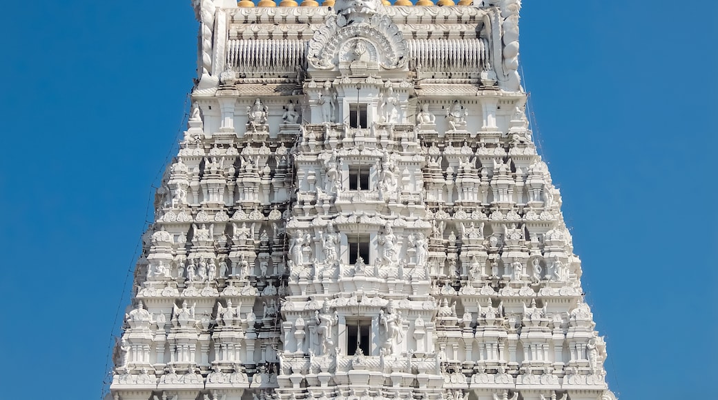 Tirupati, Andhra Pradesh, India