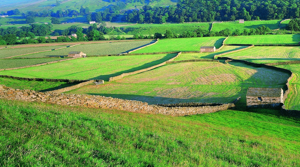 Yorkshiren nummien kansallispuisto