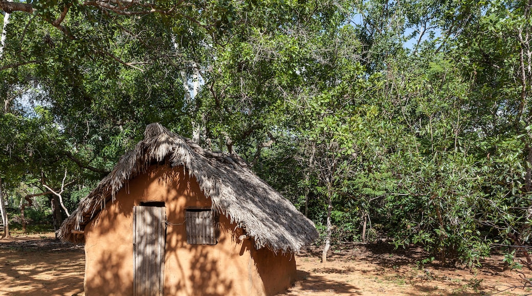 Parque Nacional Chapada das Mesas