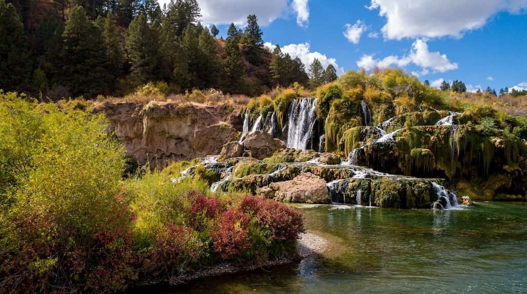 Swan Valley, Idaho, United States of America