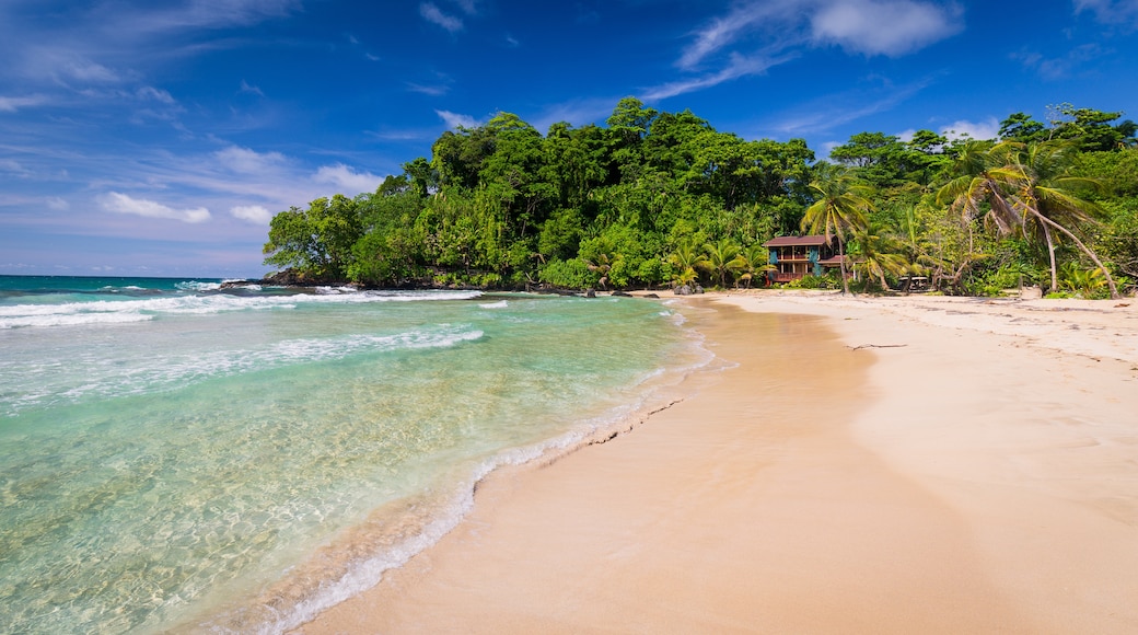 Bocas del Toro