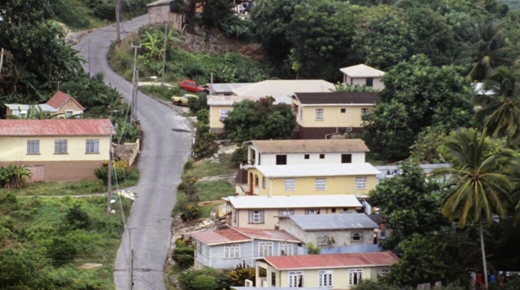 Caribbean International Riding Centre