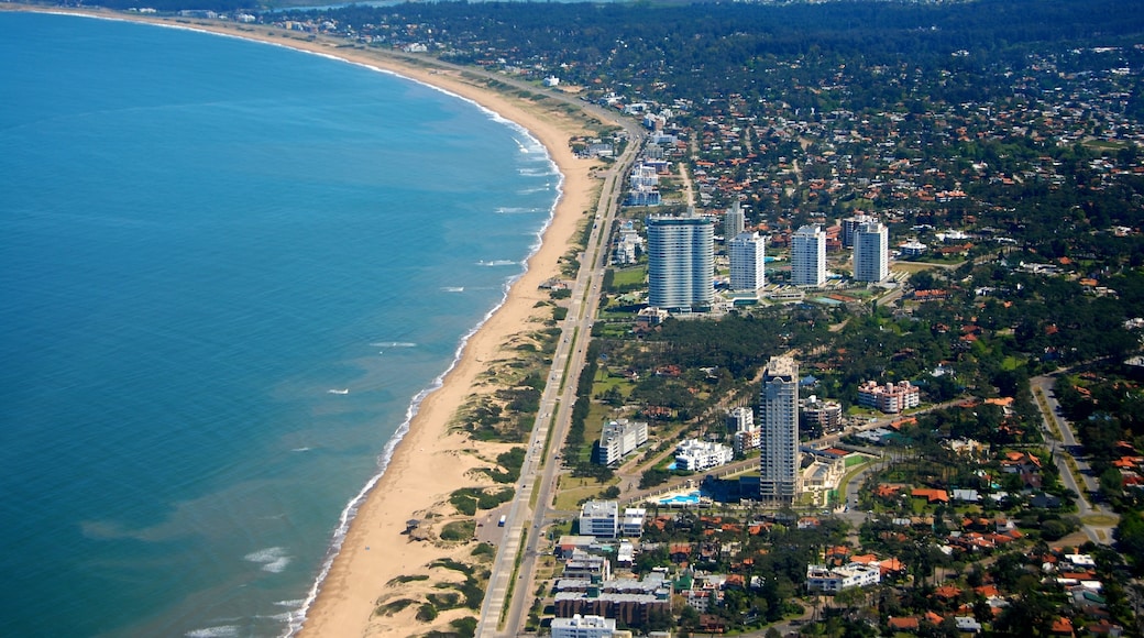 Bãi biển Mansa, Punta del Este, Maldonado, Uruguay