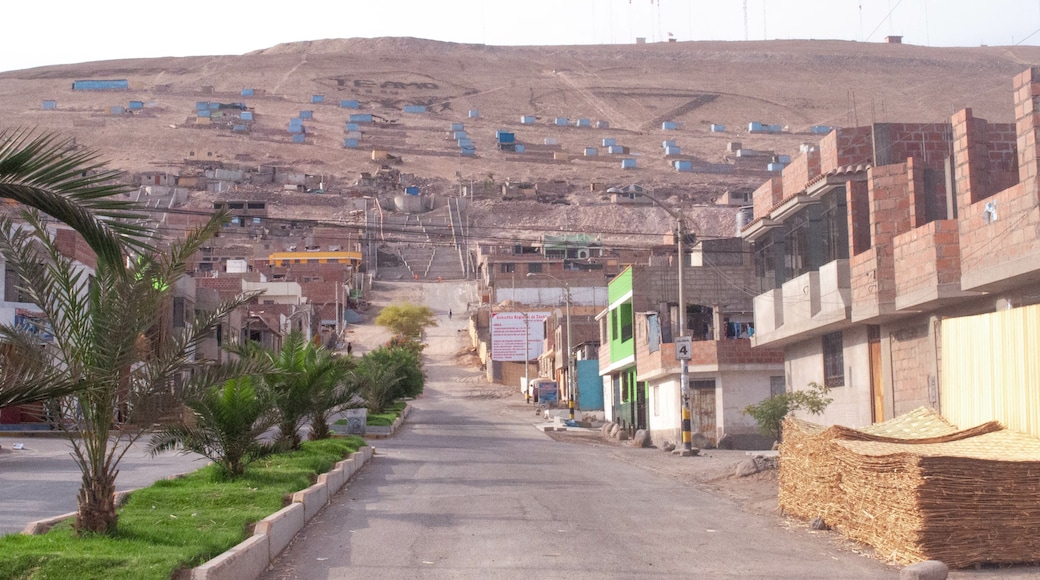 Tacna Region