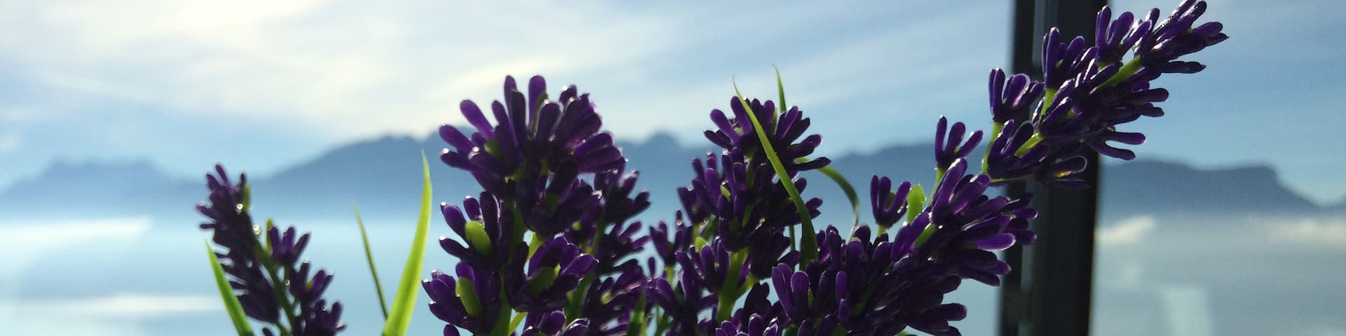 Vevey, Cantón de Vaud, Suiza