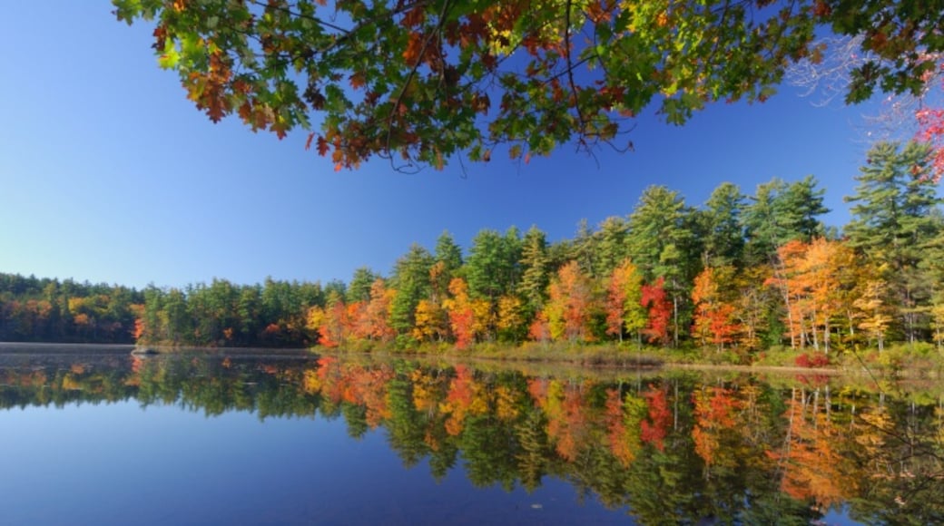 Chocorua Lake, Chocorua, New Hampshire, United States of America