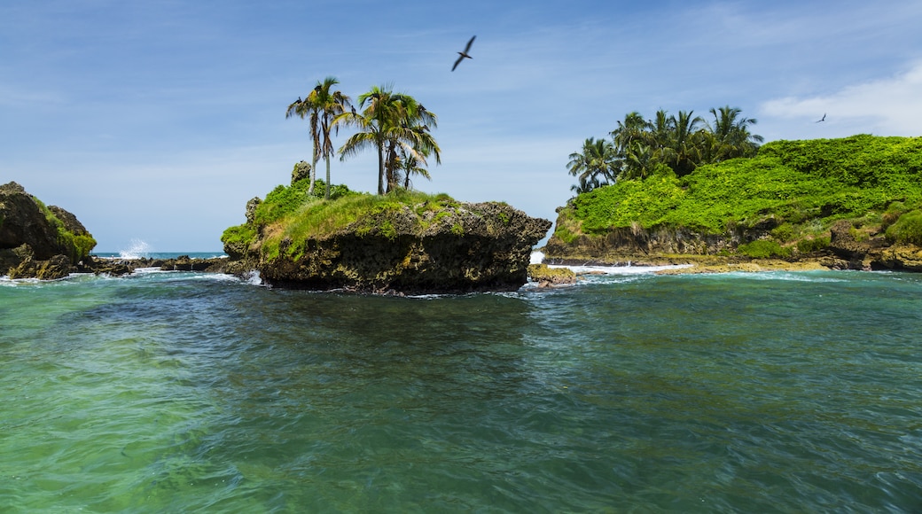 Bocas del Toro