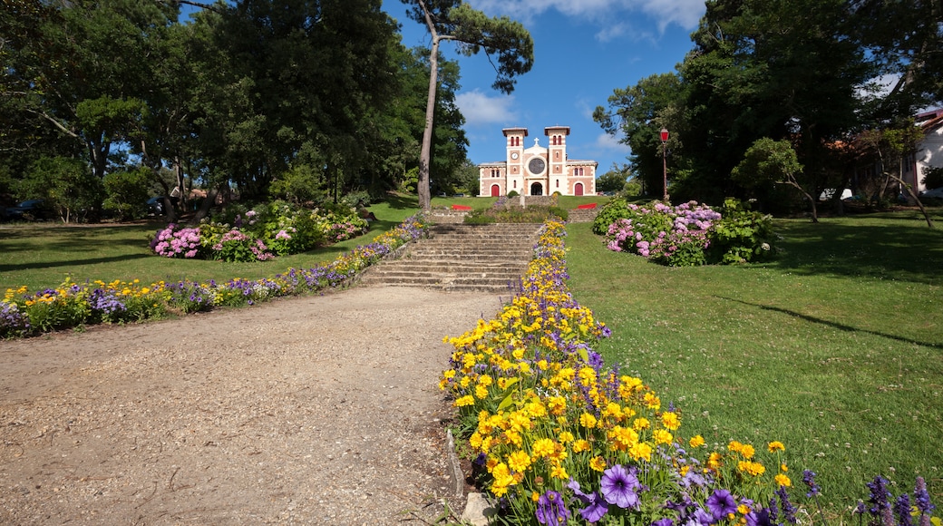 Arcachon