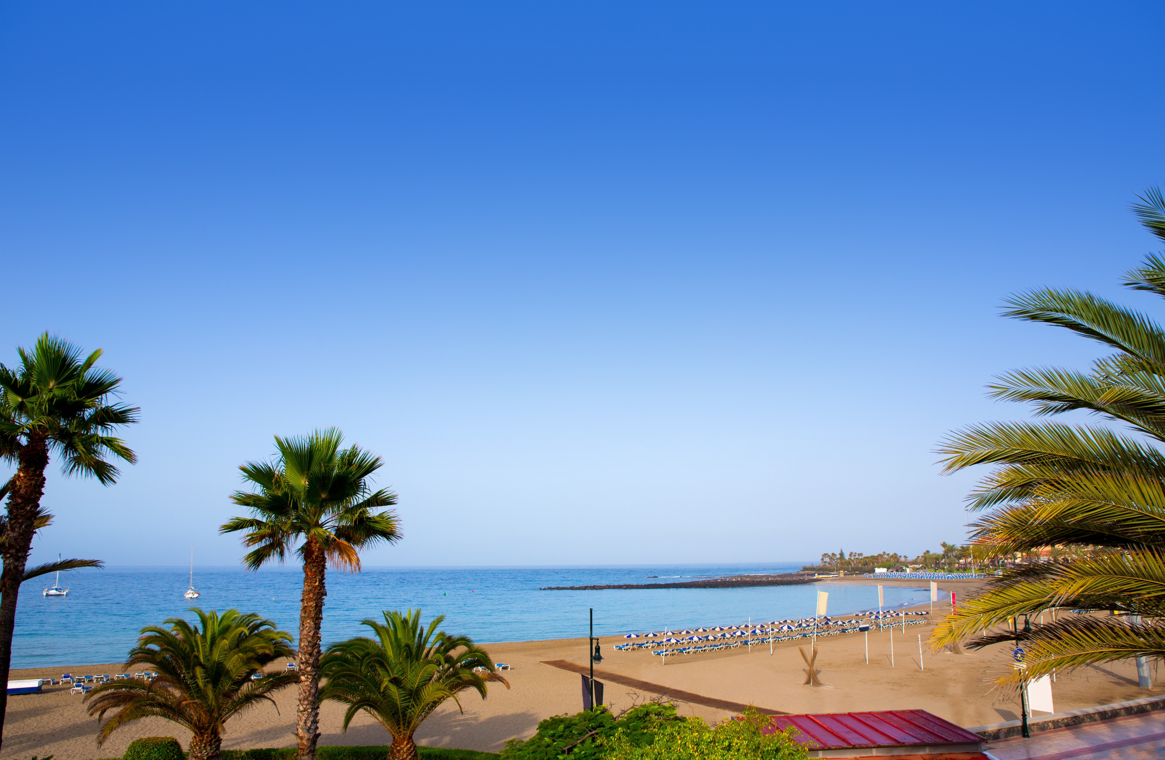 Local Expert Tenerife: trova cose da fare a Tenerife