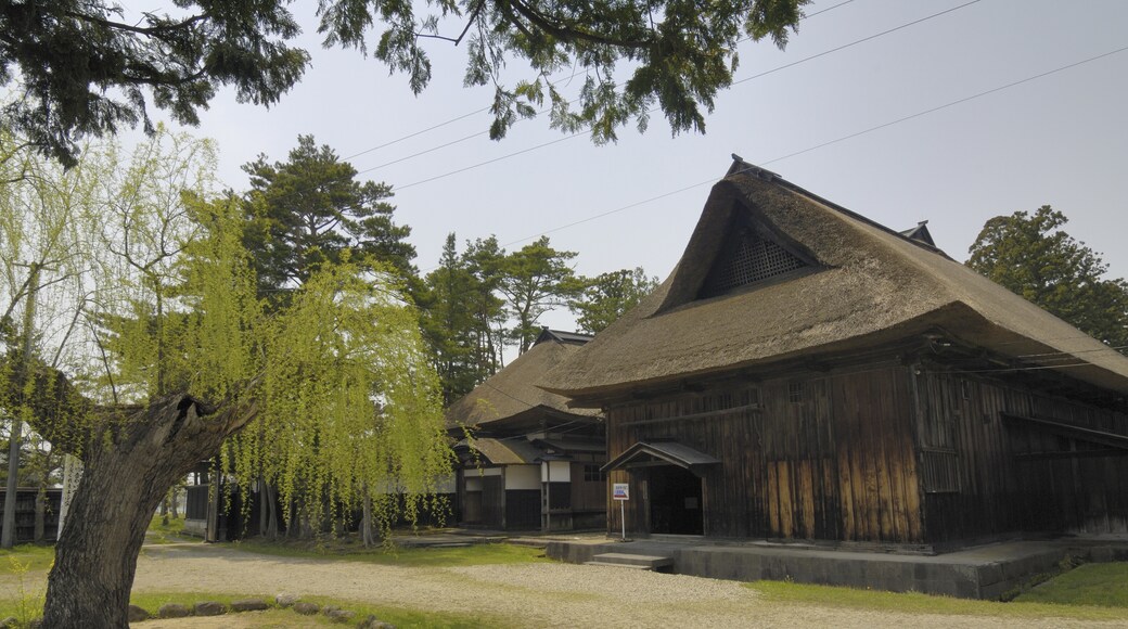 Nara Family