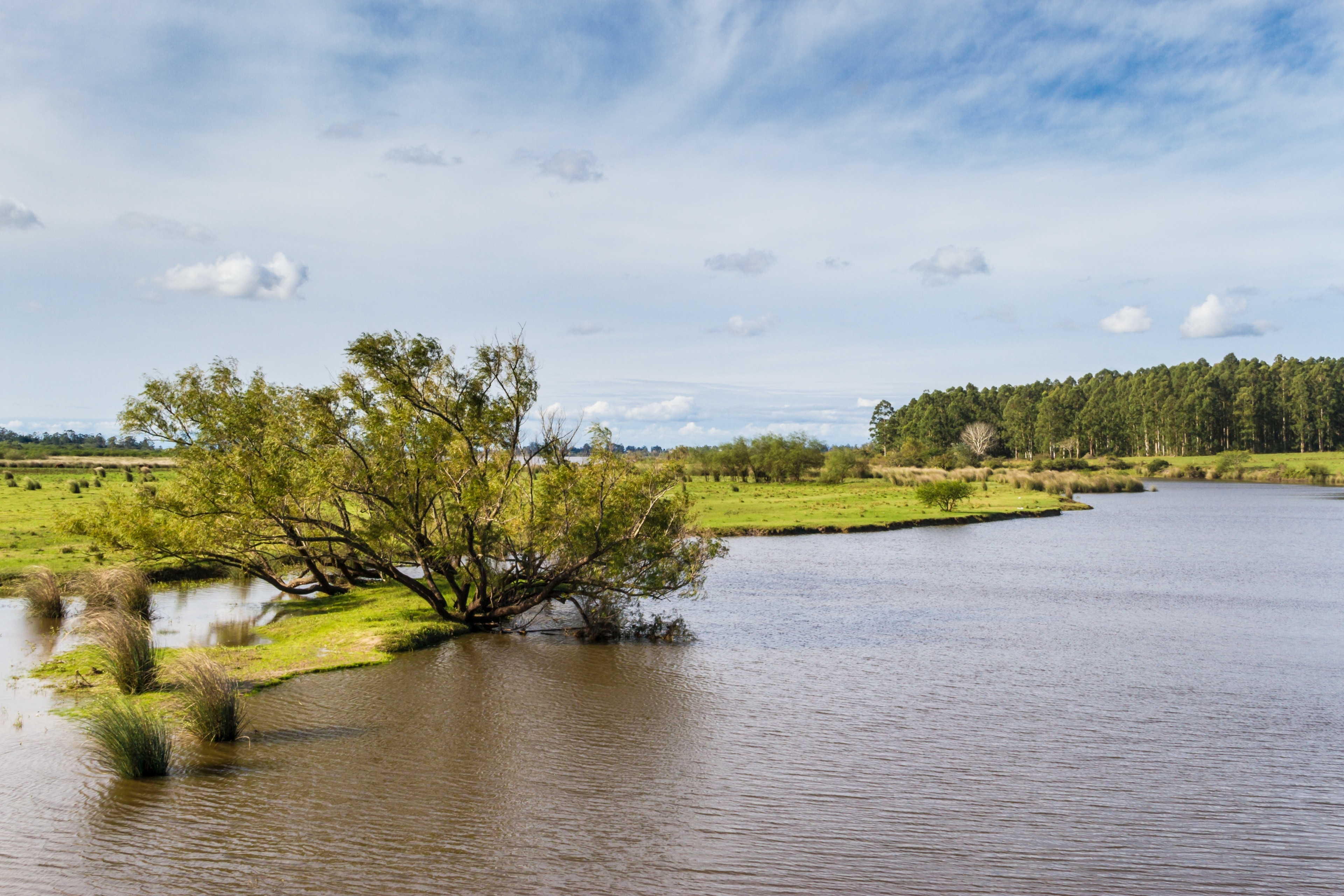 Salto, Colonial Town, Riverfront City, Historic Site