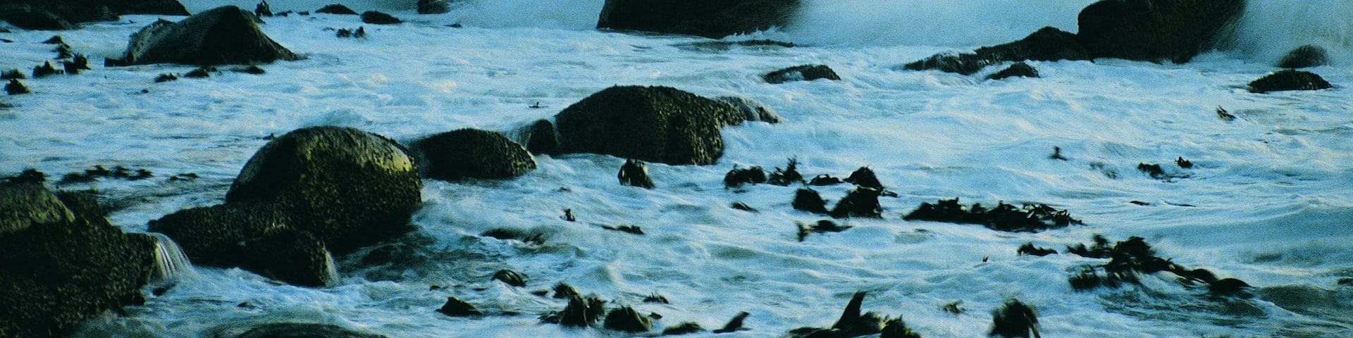 Storms River, Eastern Cape, South Africa