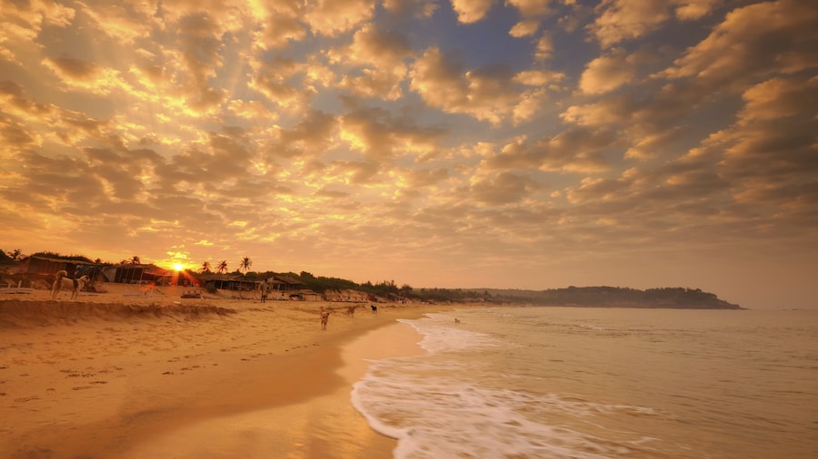 Playa Candolim