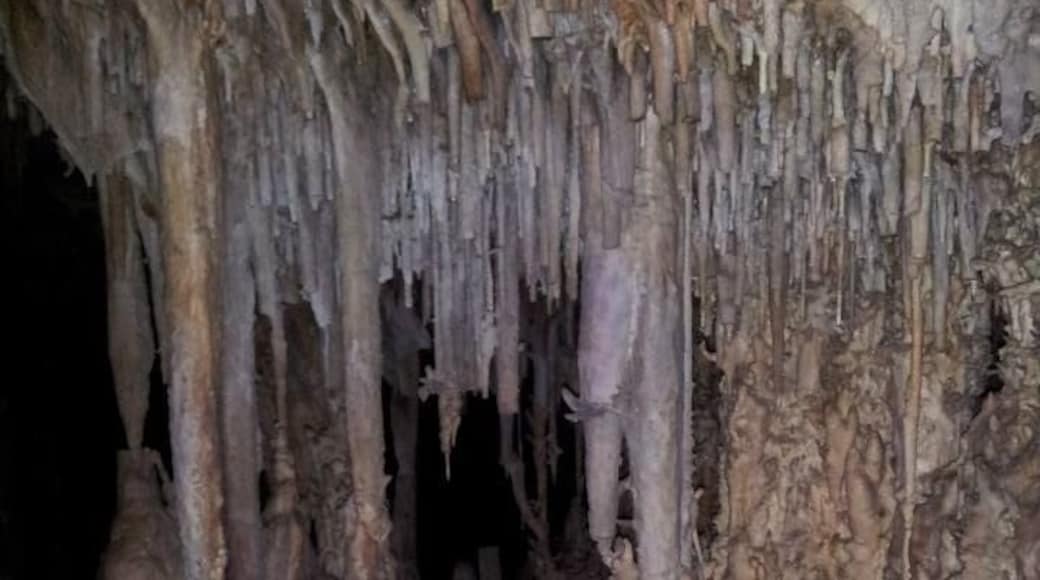 Lehman Caves