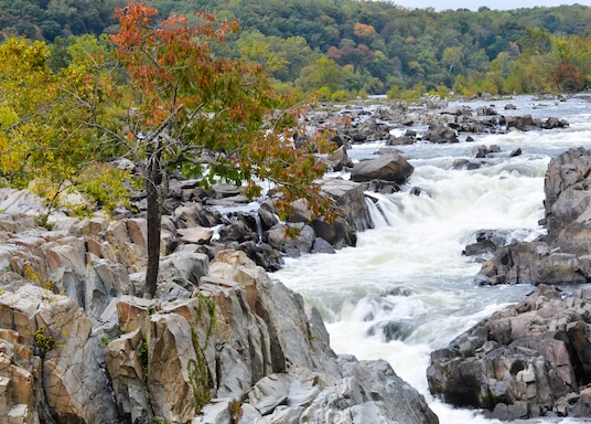 Great Falls, Virginia, United States of America
